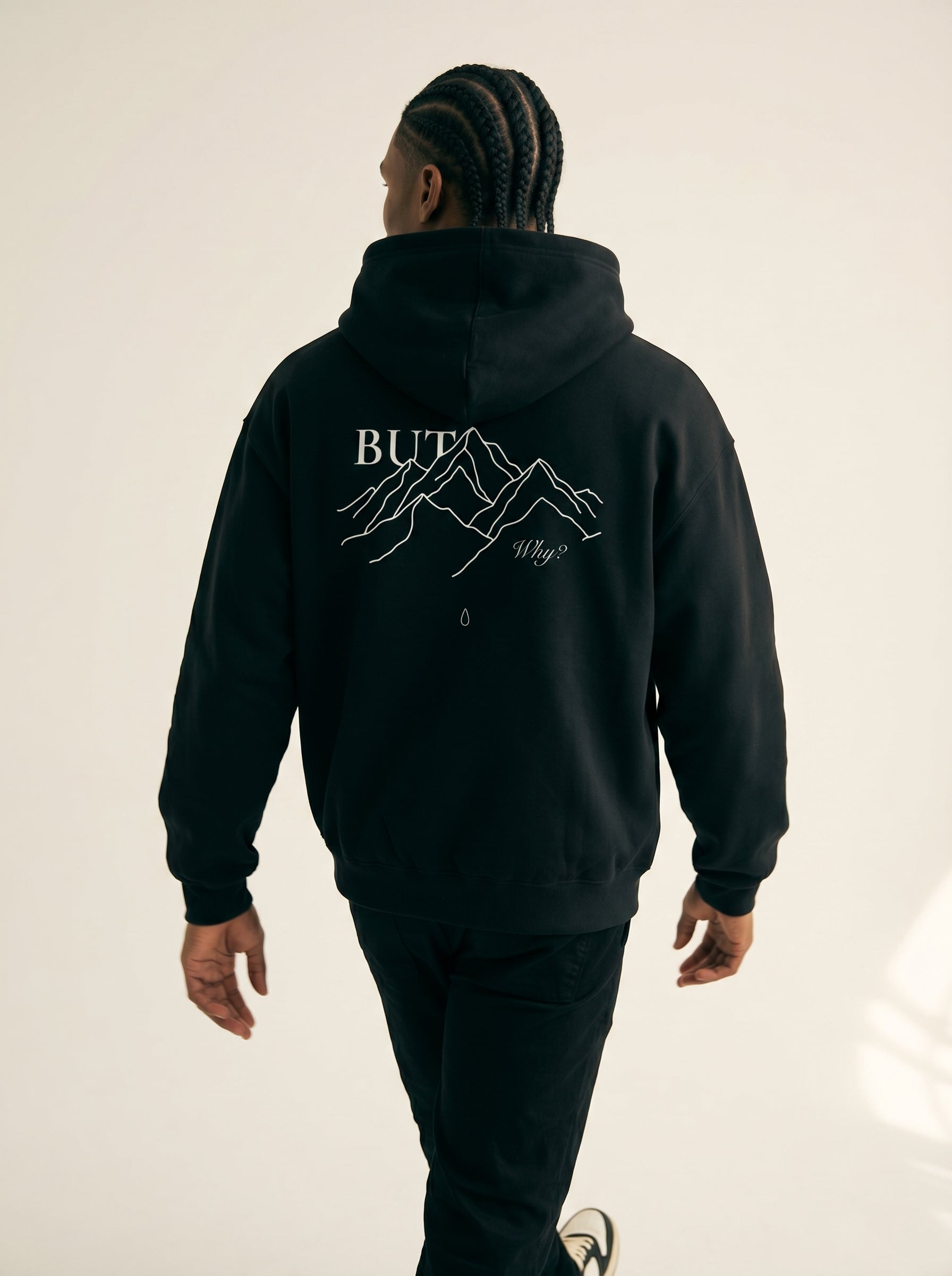 But Why Hoodie | 380g Brushed Fleece Cotton Hoodie – Verus Studio